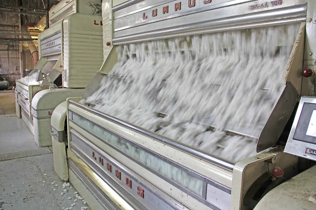 Cotton ginning machinery